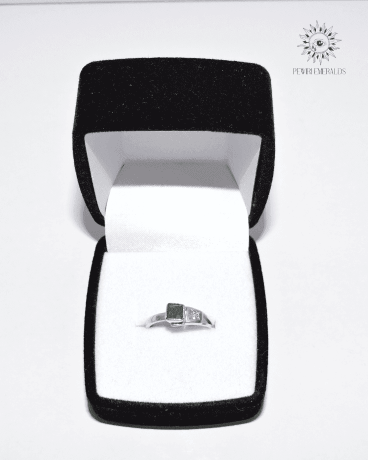 Anillo 2
